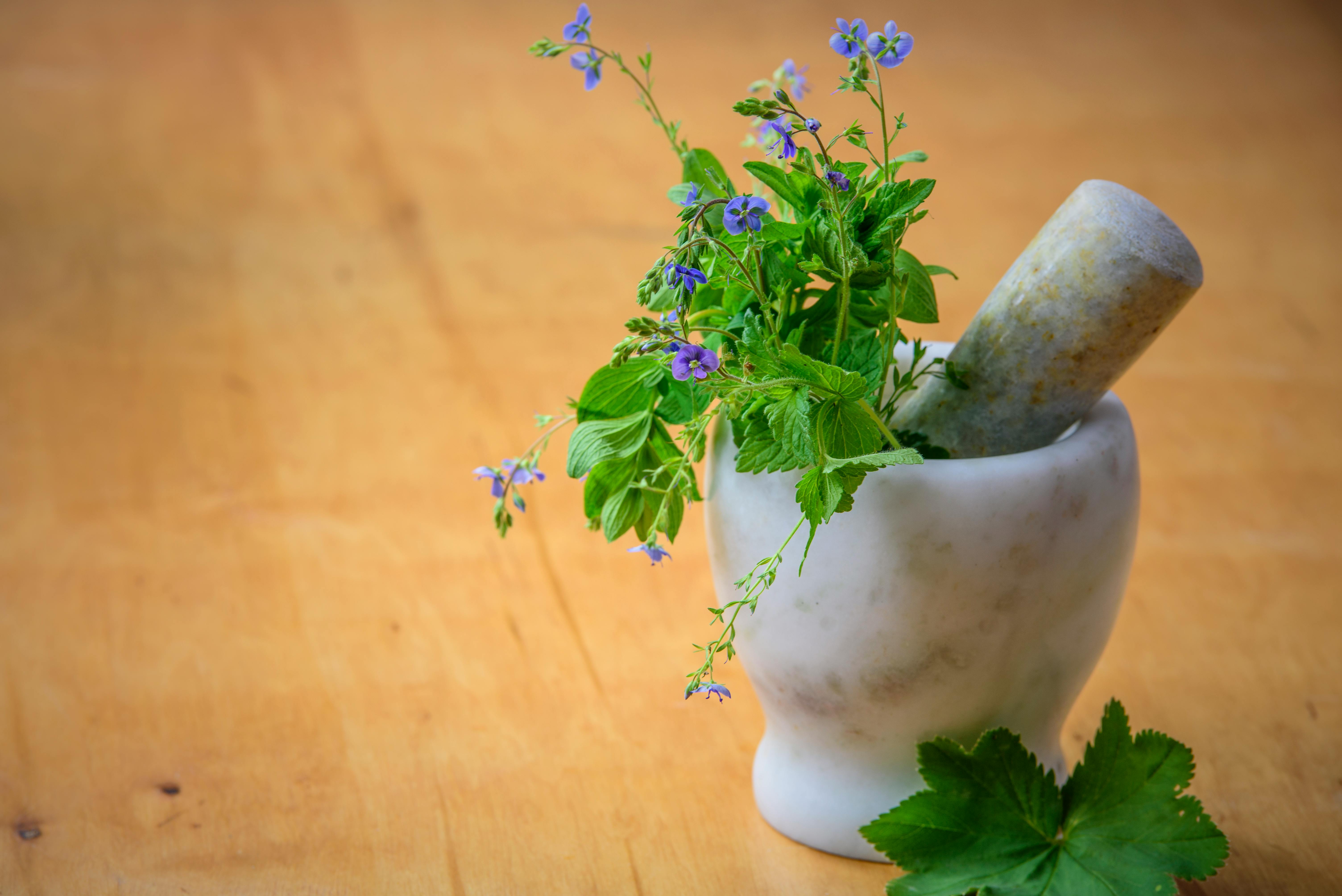 Ayurvedic ingredients and a mortar and pestle on a wooden table